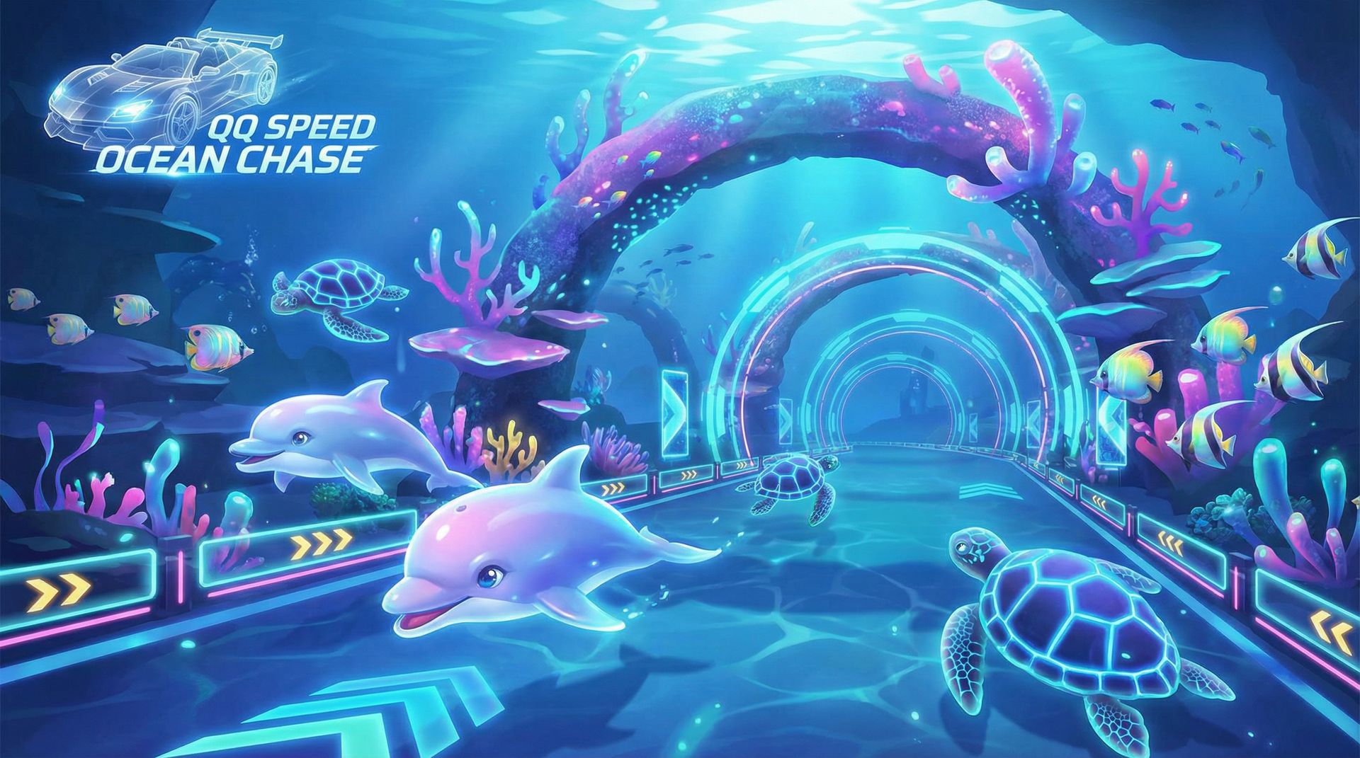 网红主播海洋动物视频